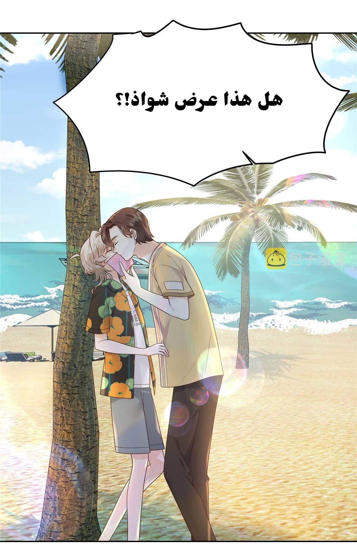الصفحة 14