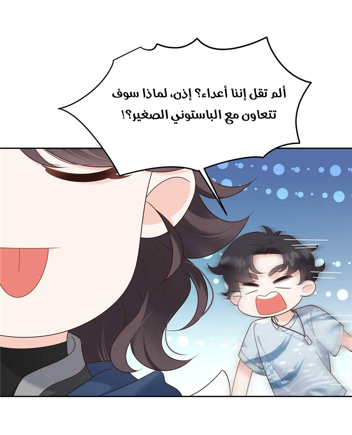 الصفحة 29