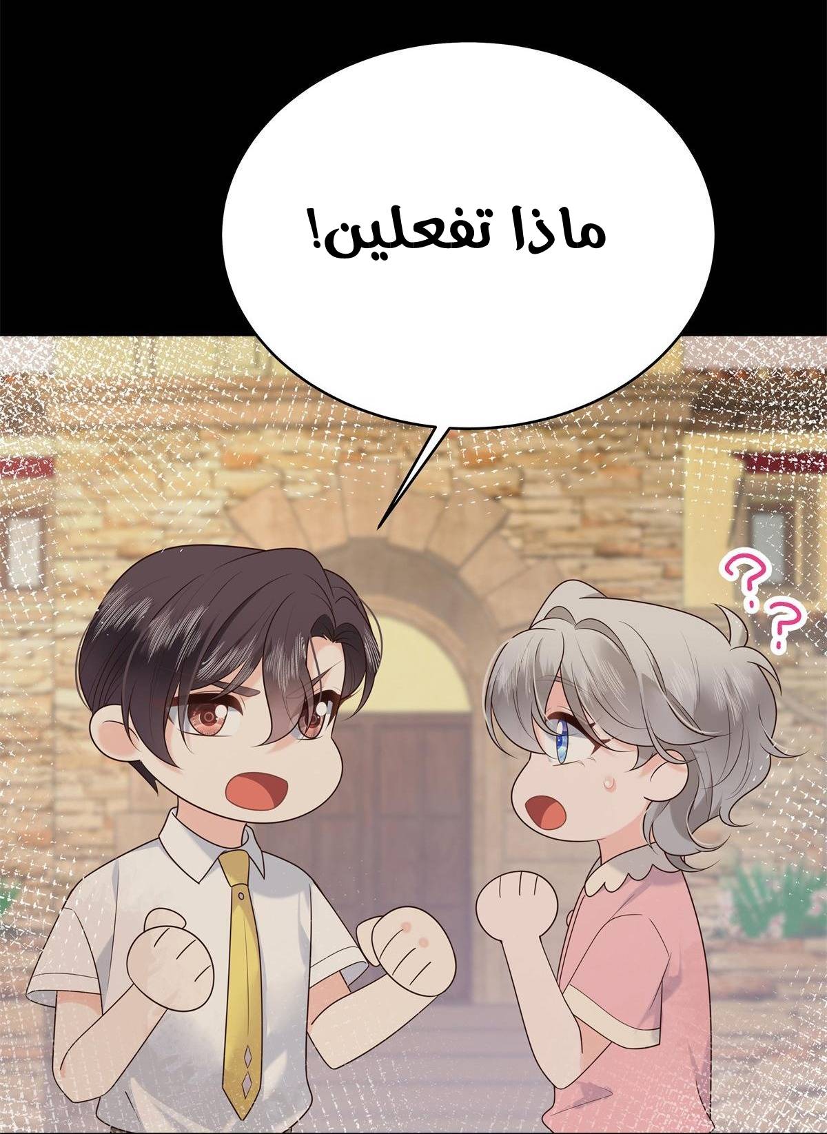 الصفحة 15