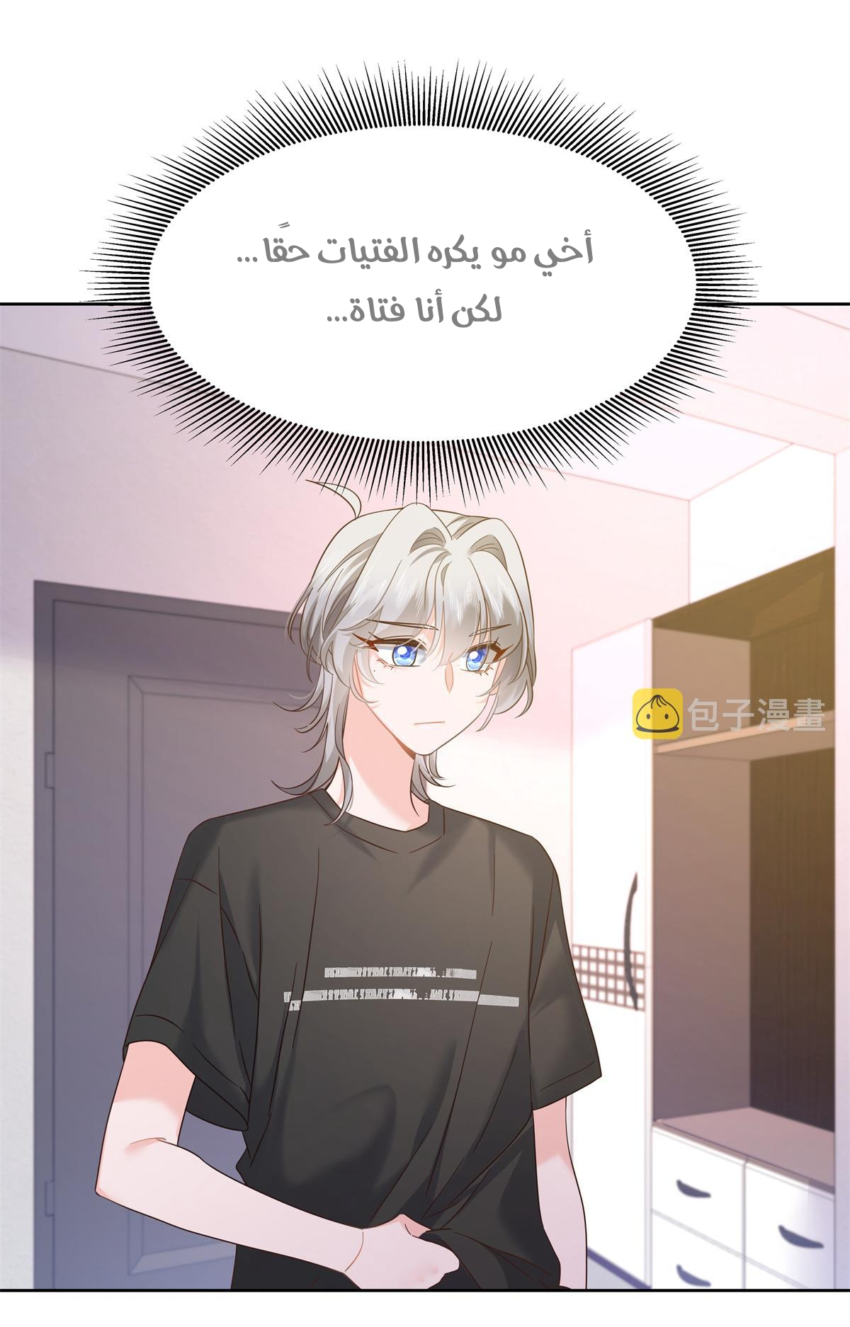 الصفحة 13