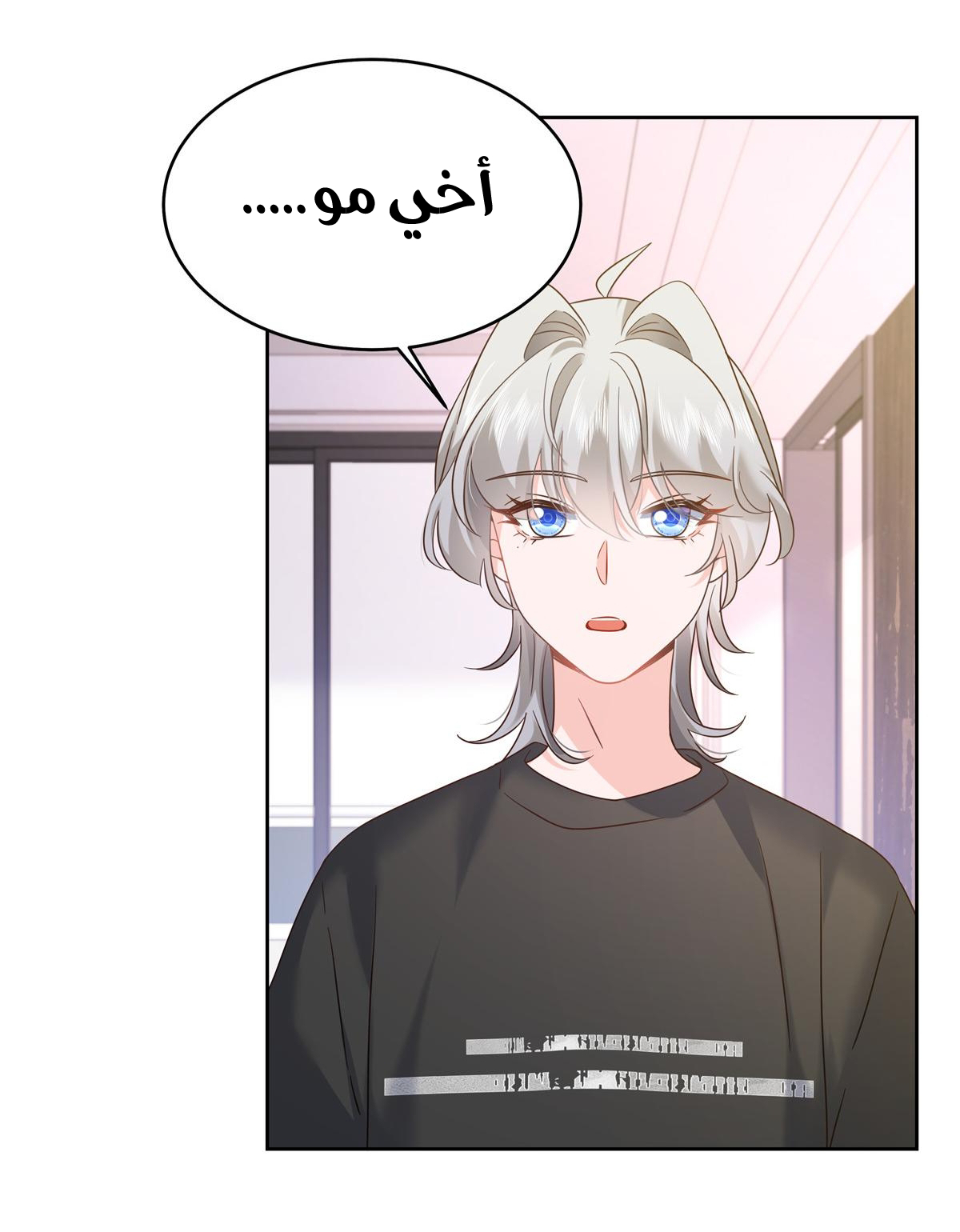 الصفحة 17