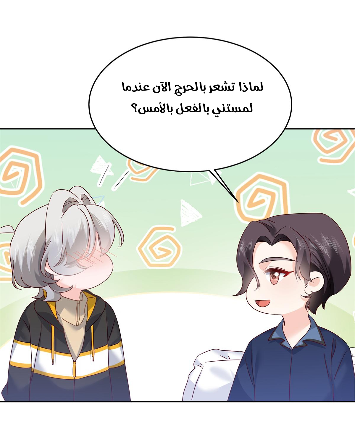 الصفحة 17