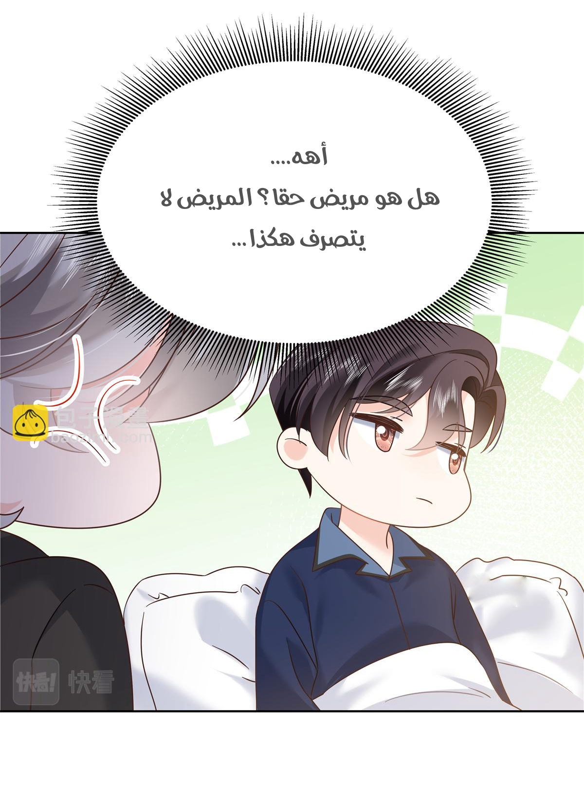 الصفحة 24