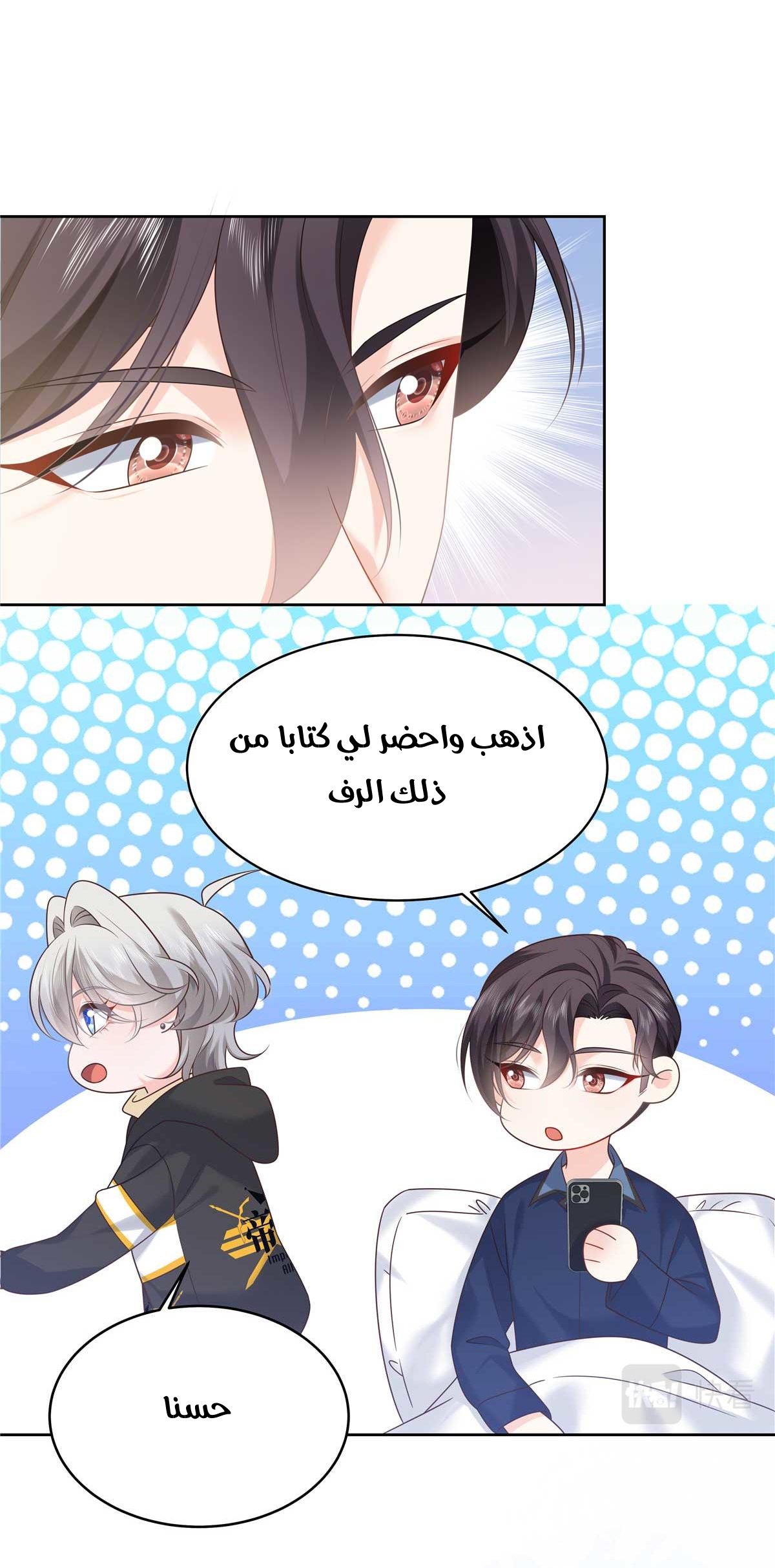 الصفحة 25