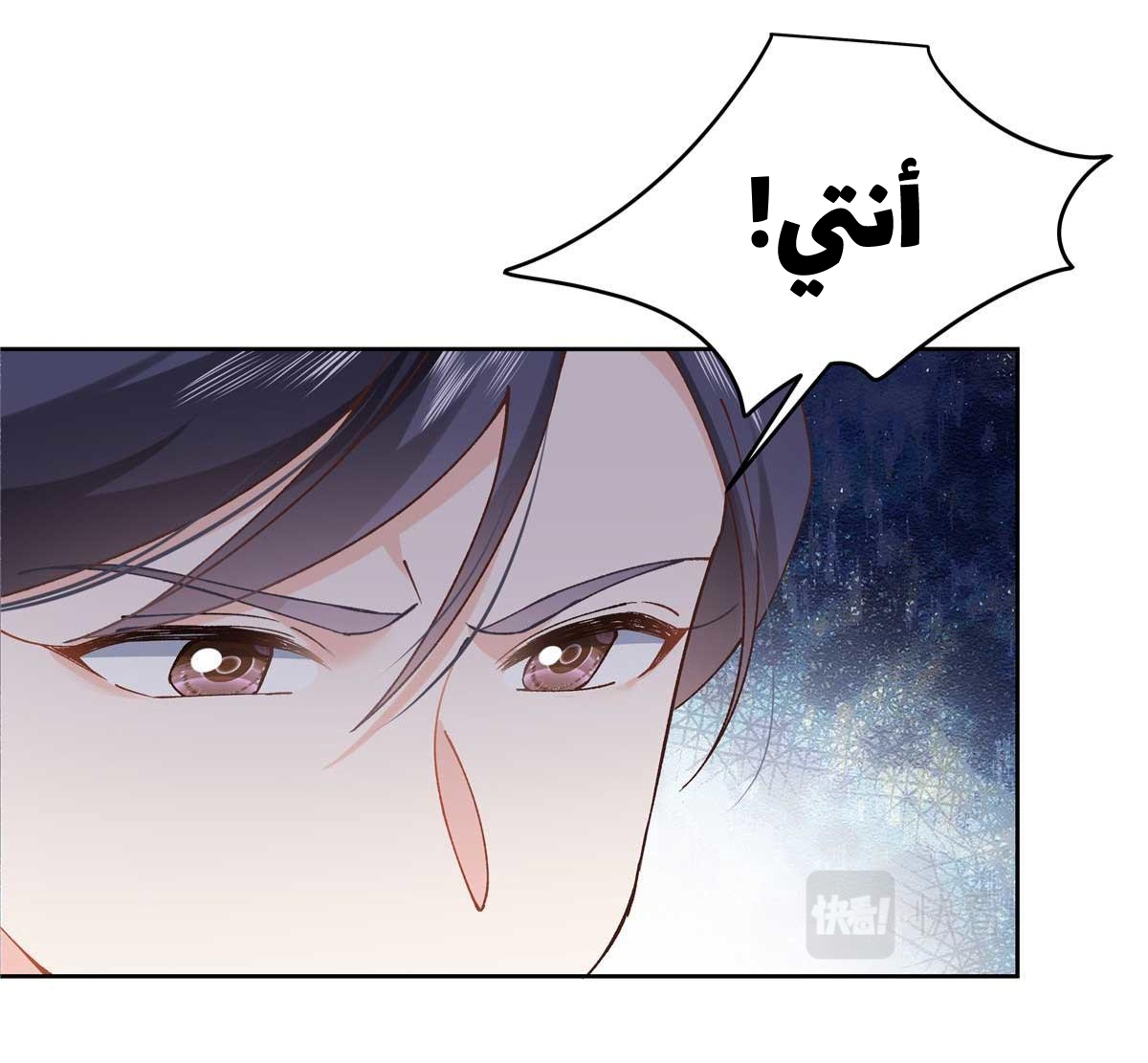 الصفحة 13