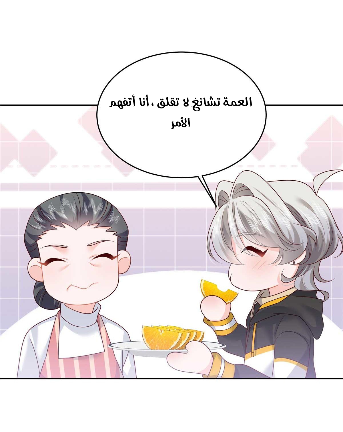 الصفحة 29