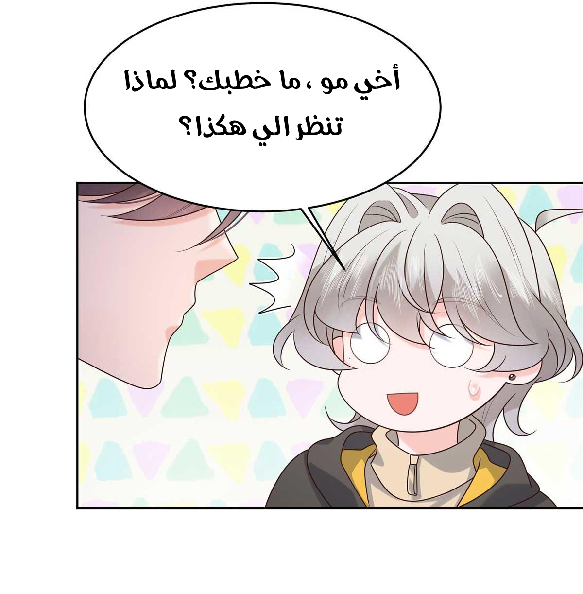 الصفحة 40