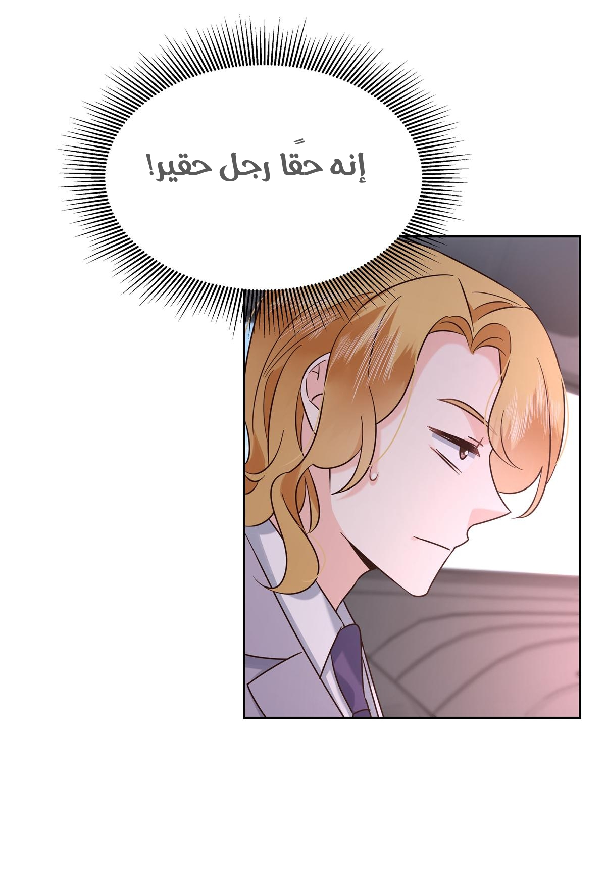 الصفحة 26