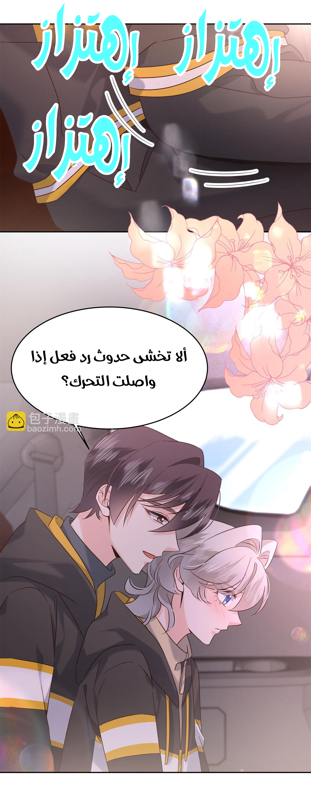 الصفحة 29