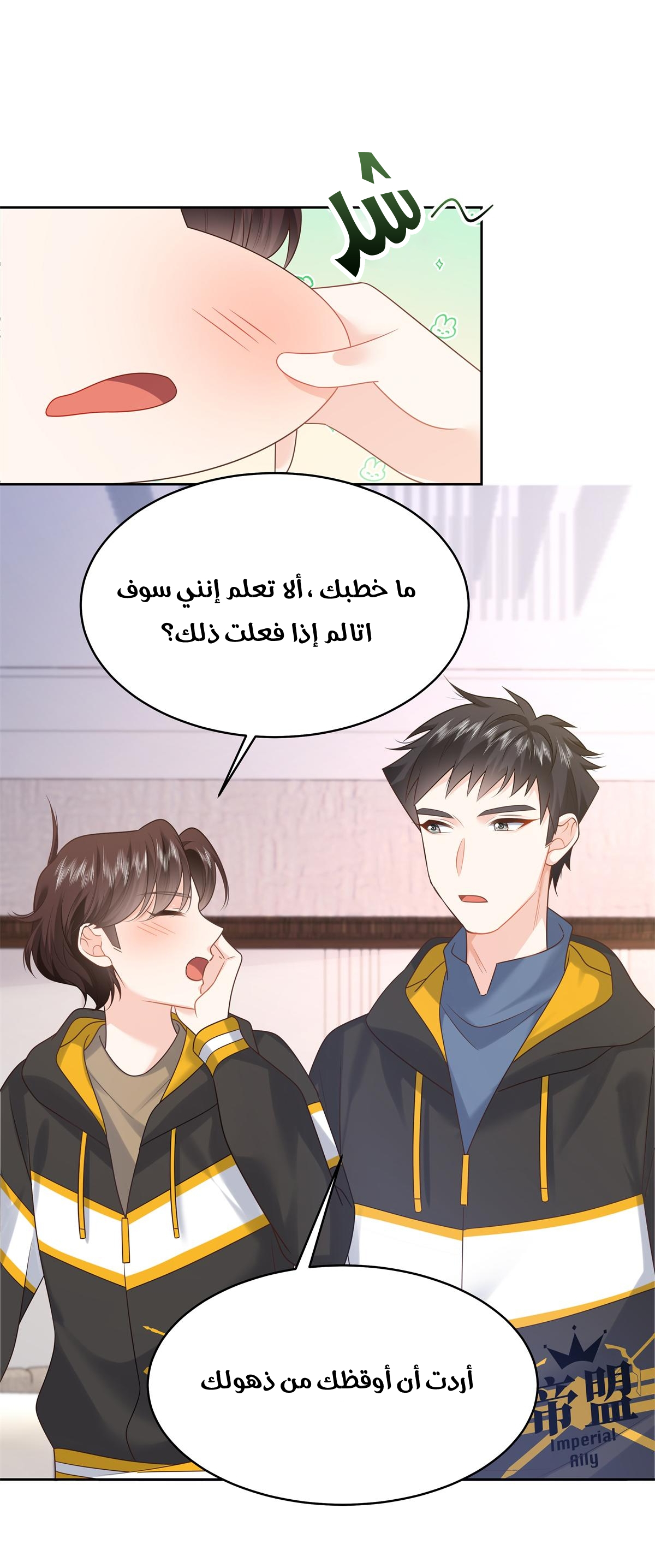 الصفحة 3
