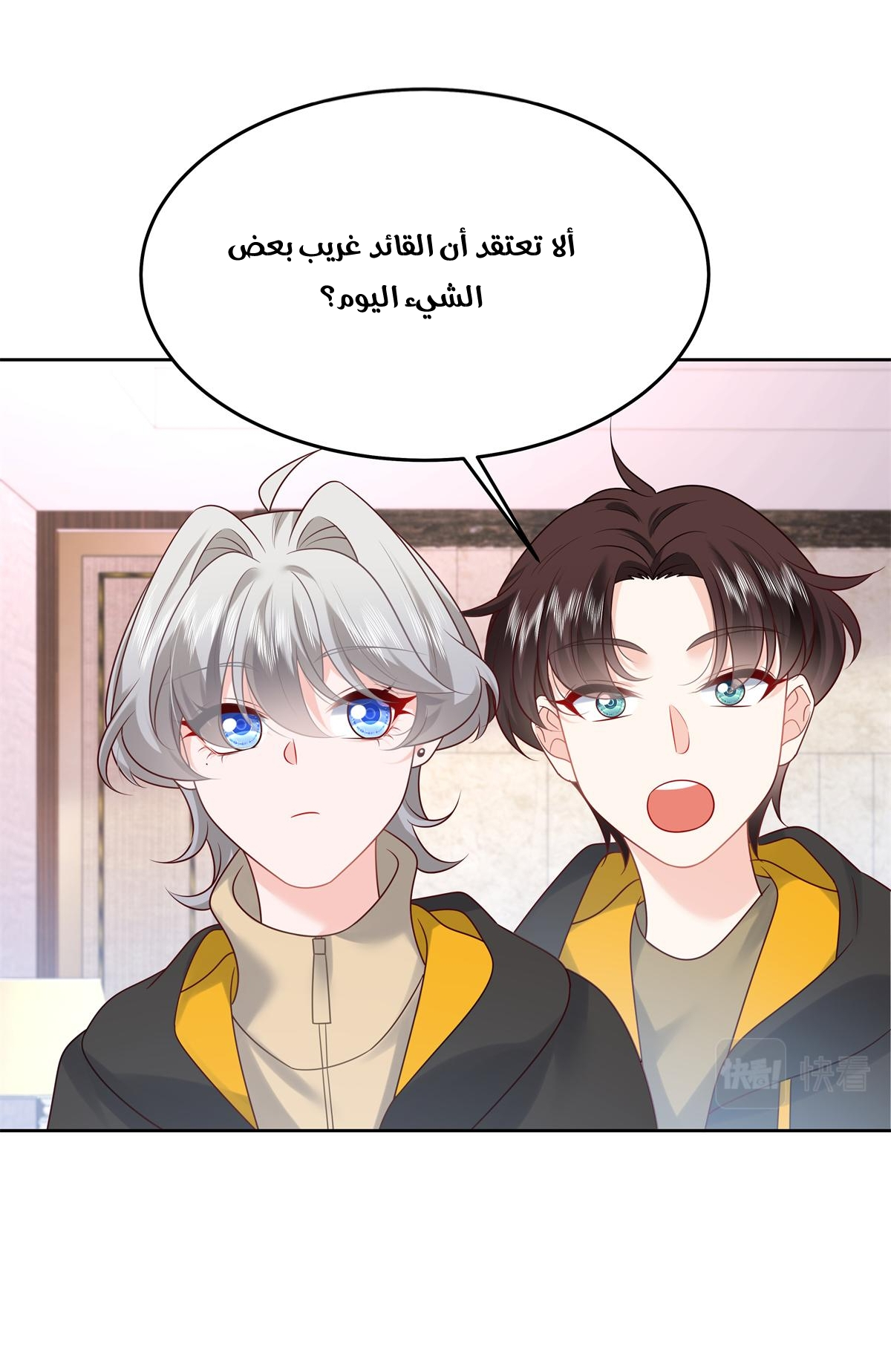 الصفحة 11