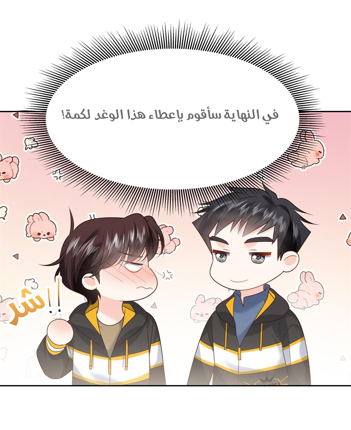 الصفحة 16