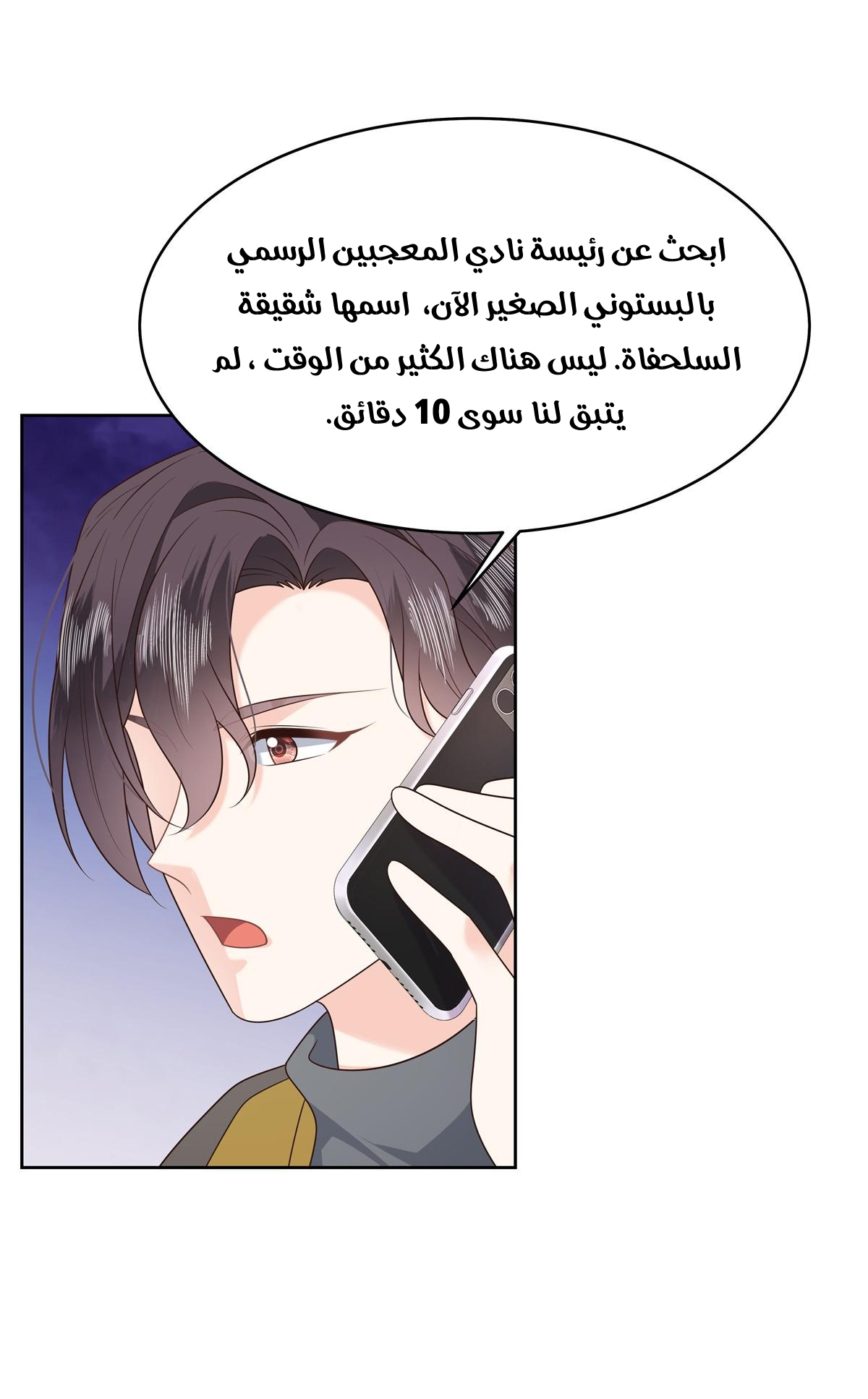 الصفحة 15