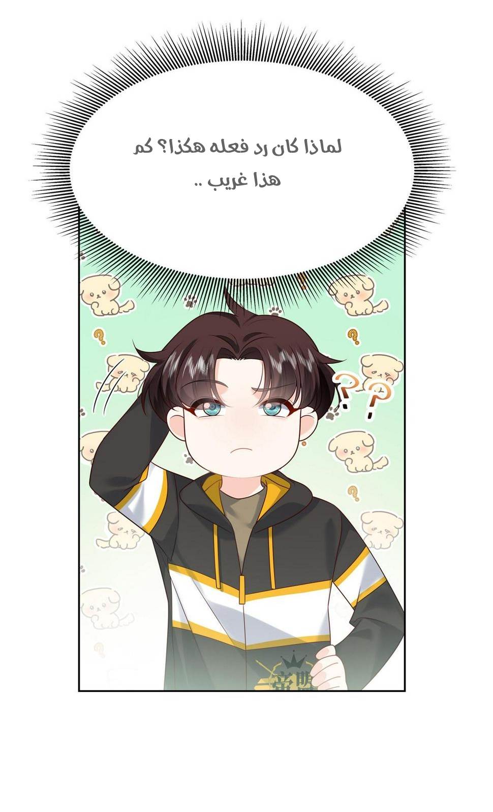 الصفحة 24