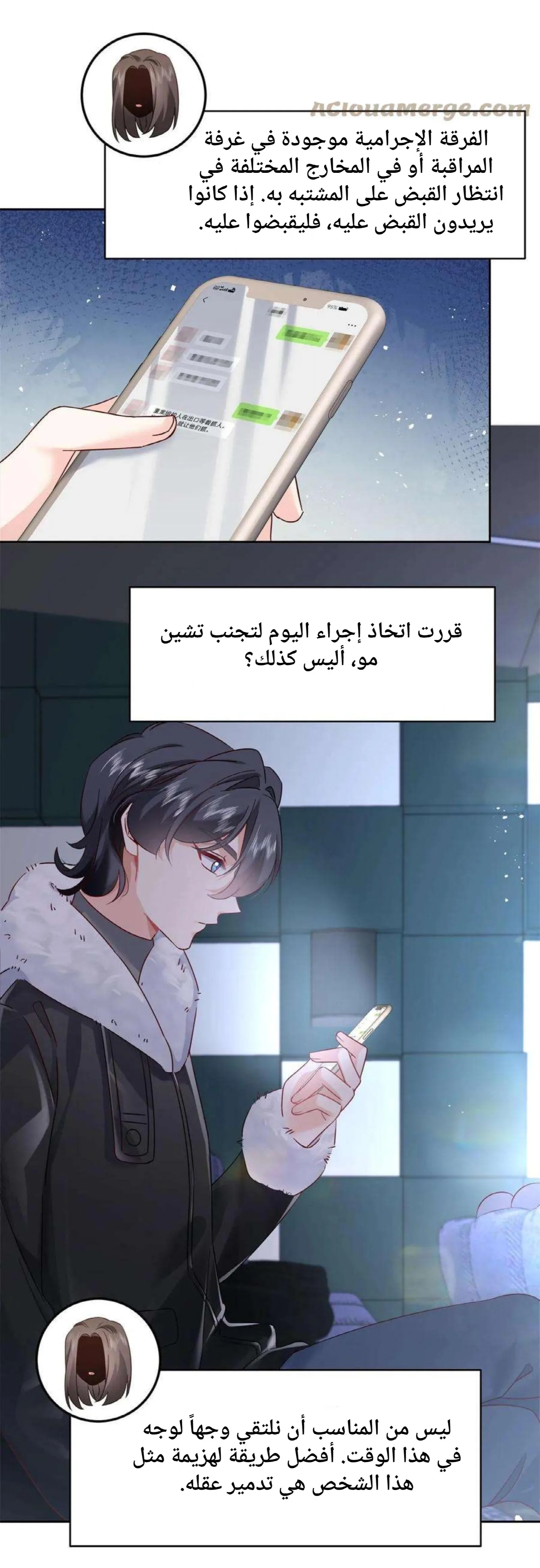 الصفحة 17