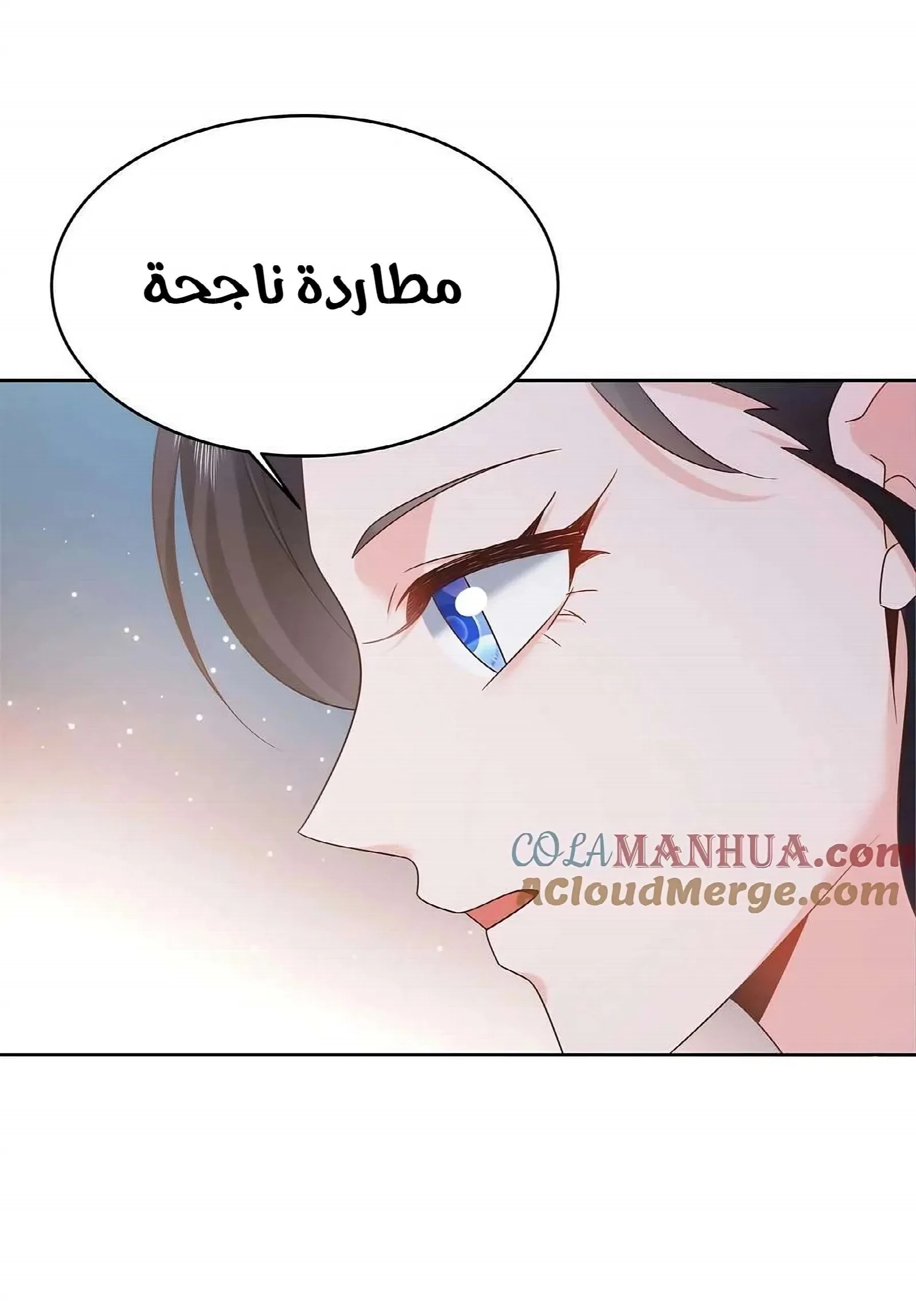 الصفحة 24