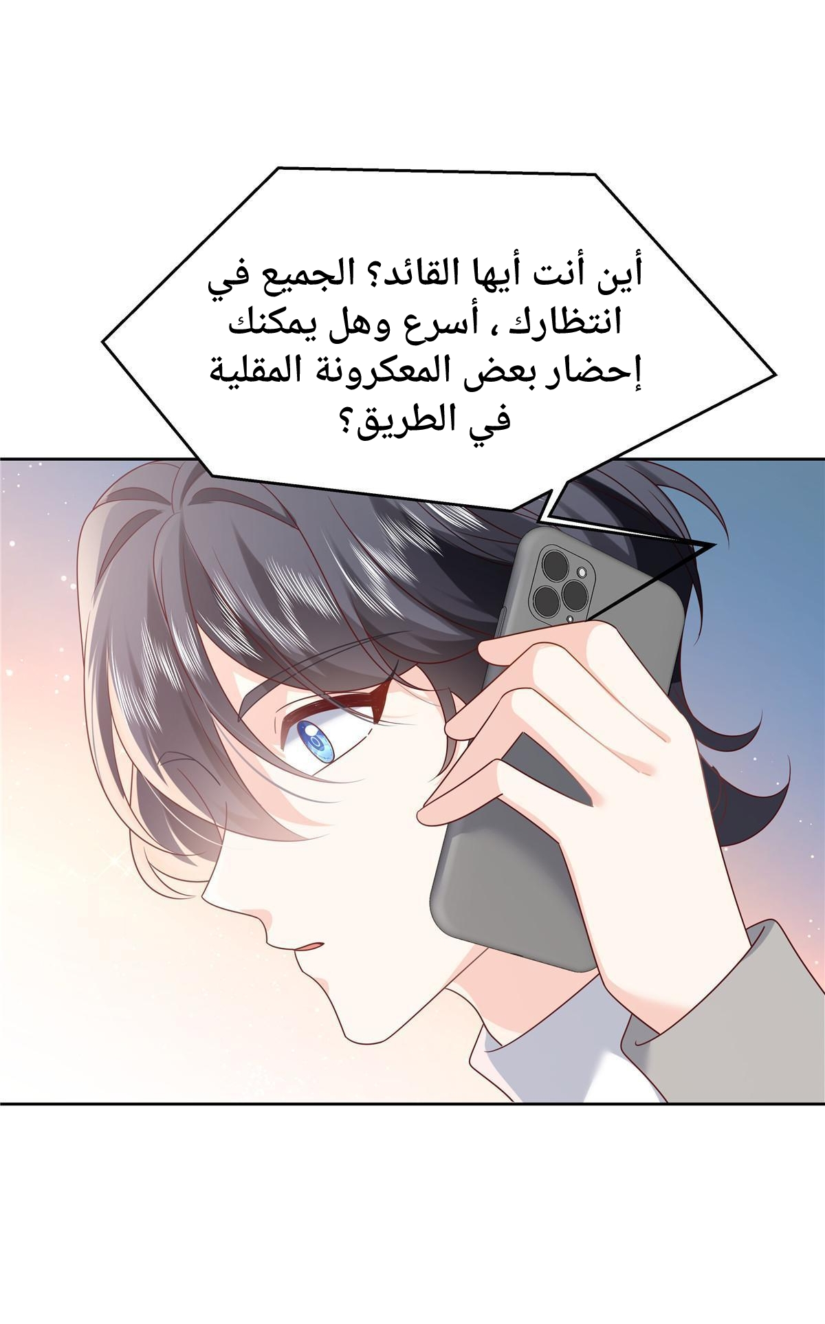 الصفحة 16