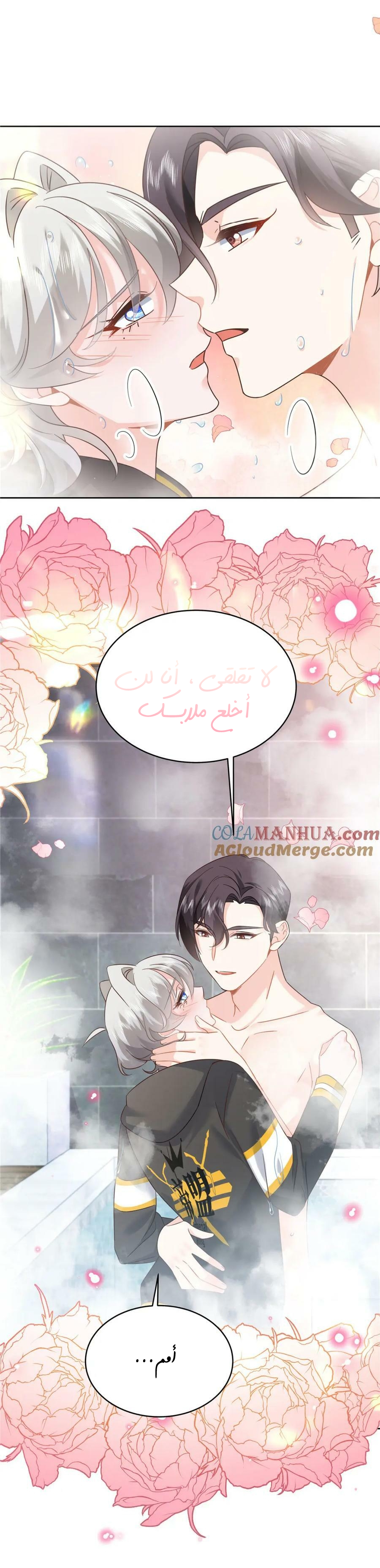 الصفحة 13