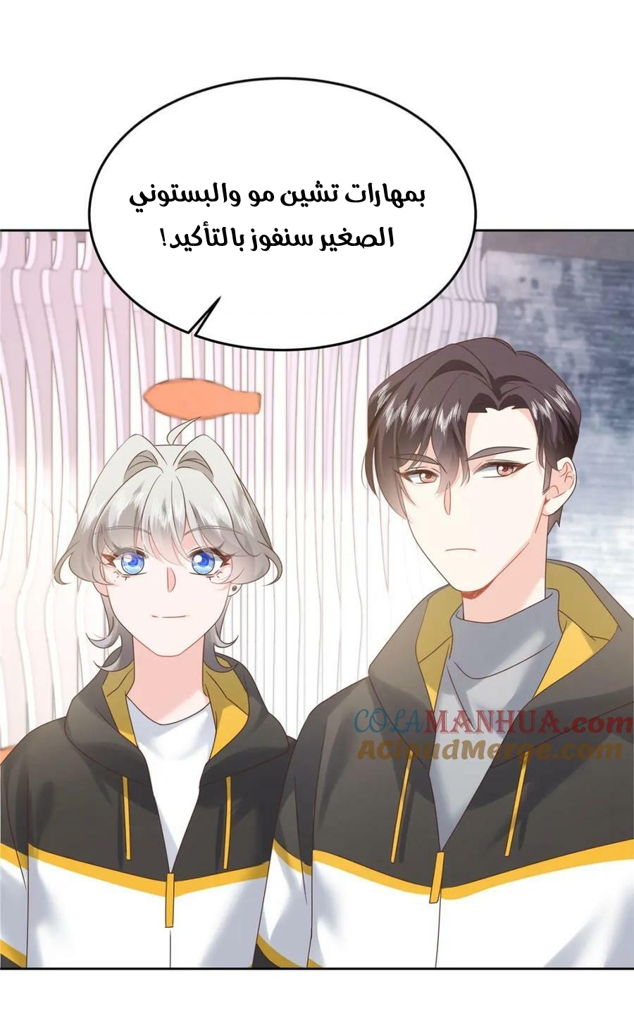 الصفحة 17