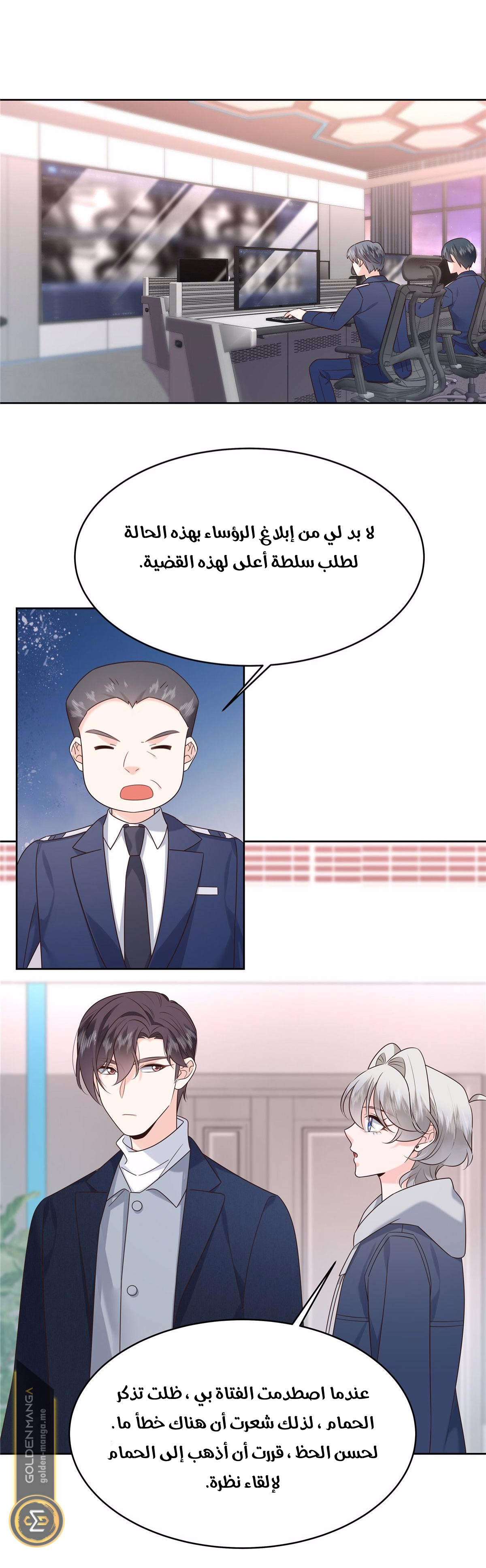 الصفحة 17