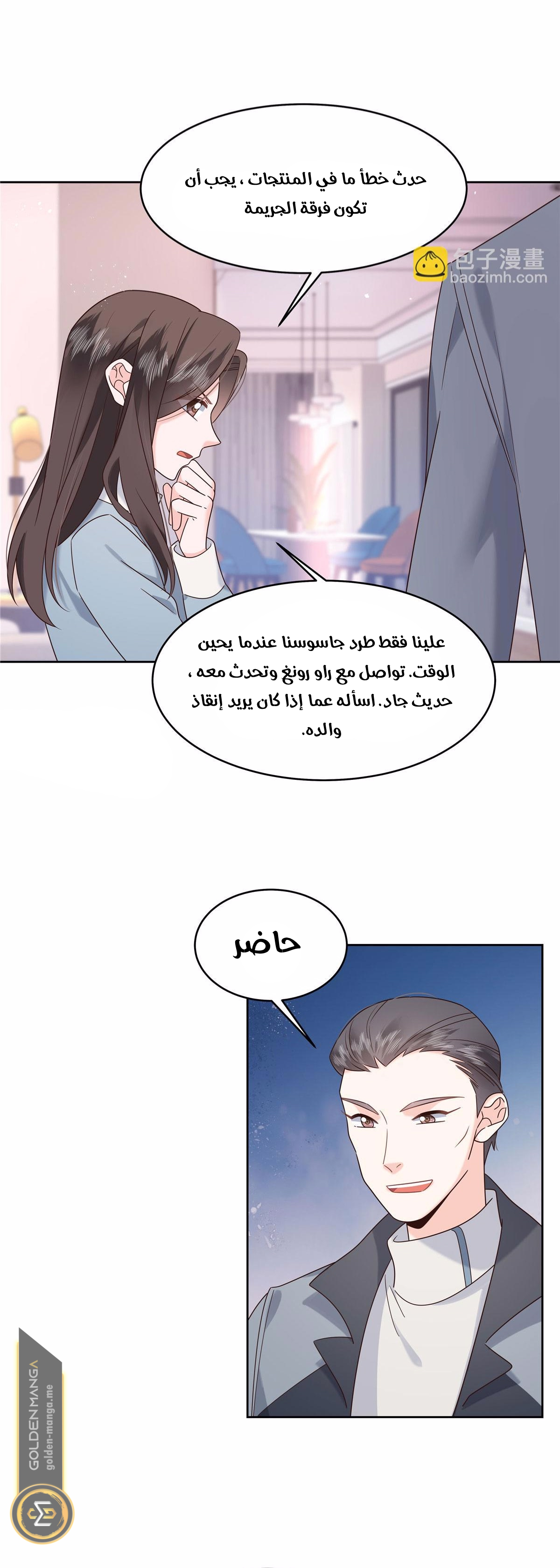 الصفحة 13