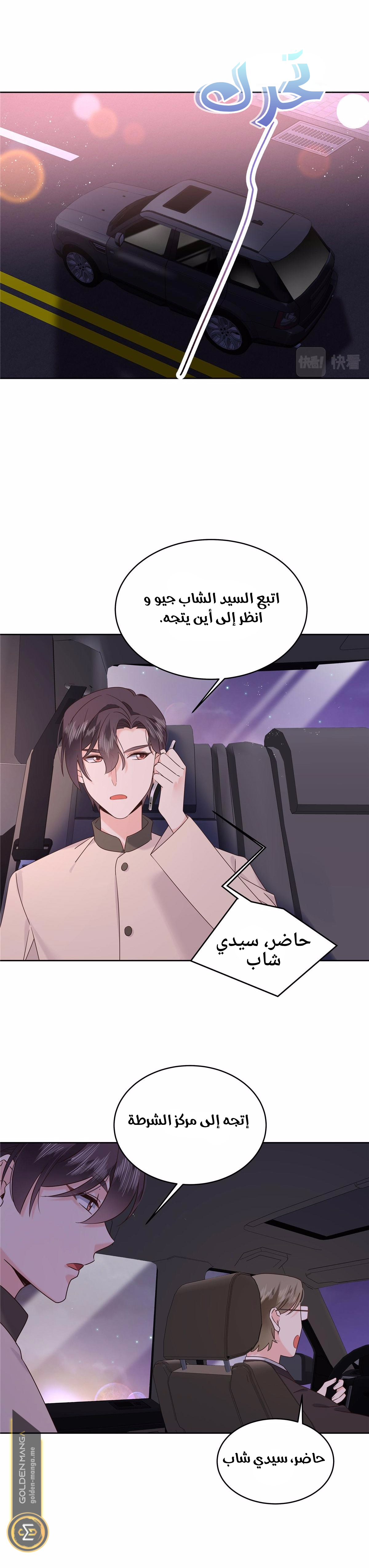 الصفحة 11