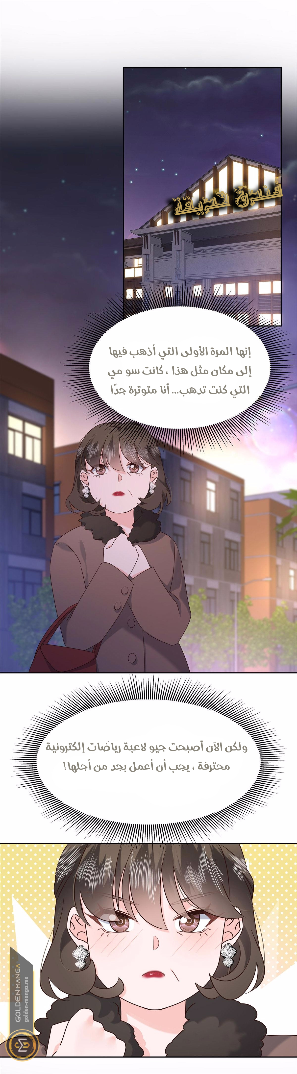 الصفحة 12