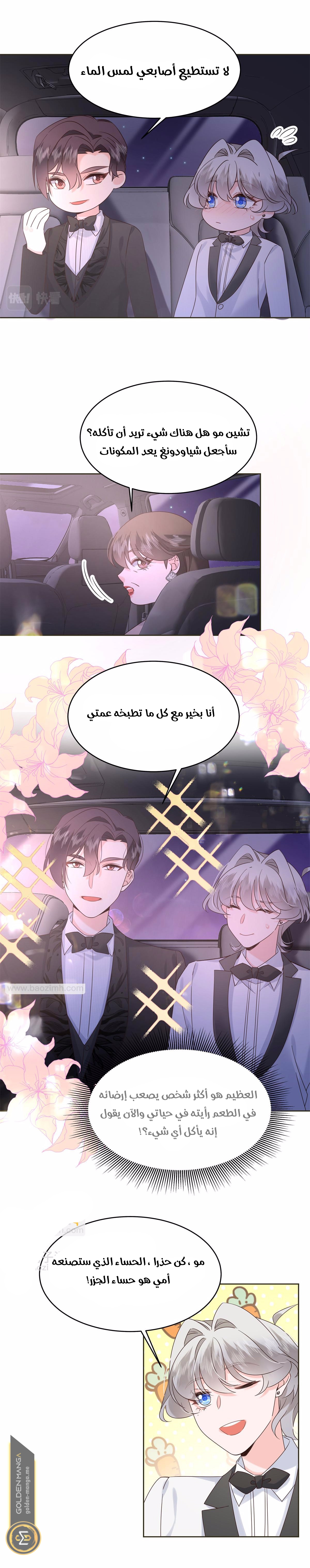 الصفحة 11