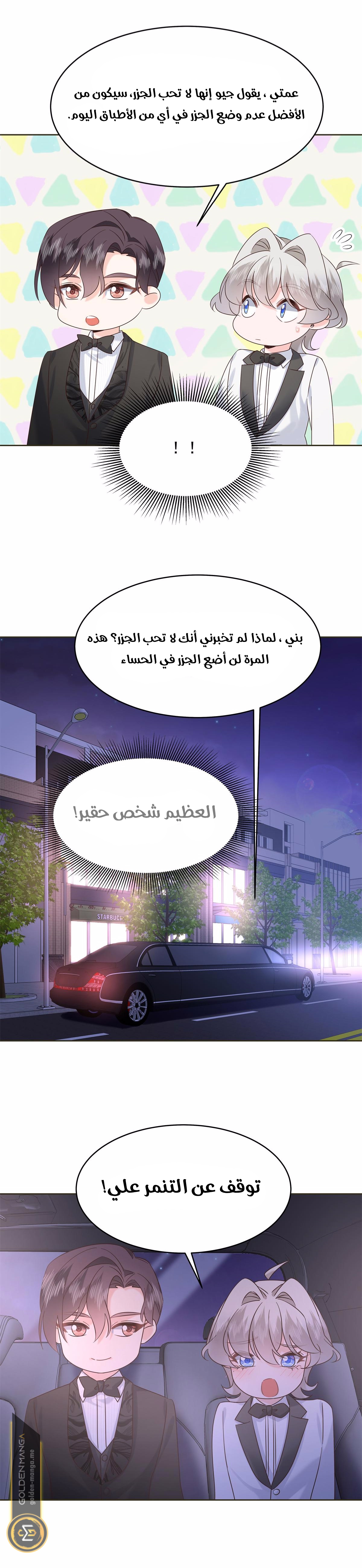 الصفحة 12