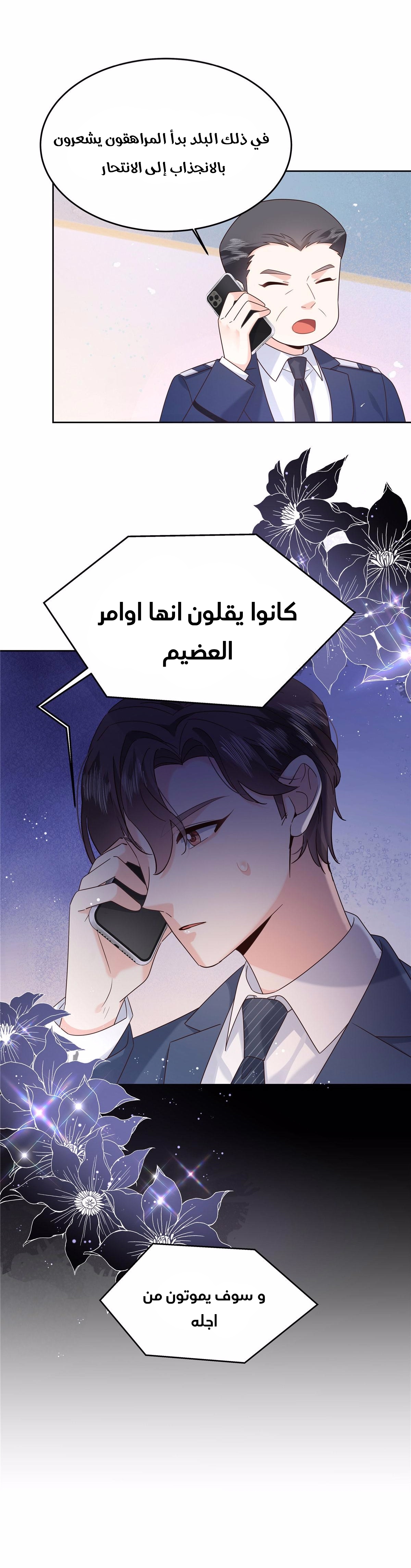 الصفحة 17