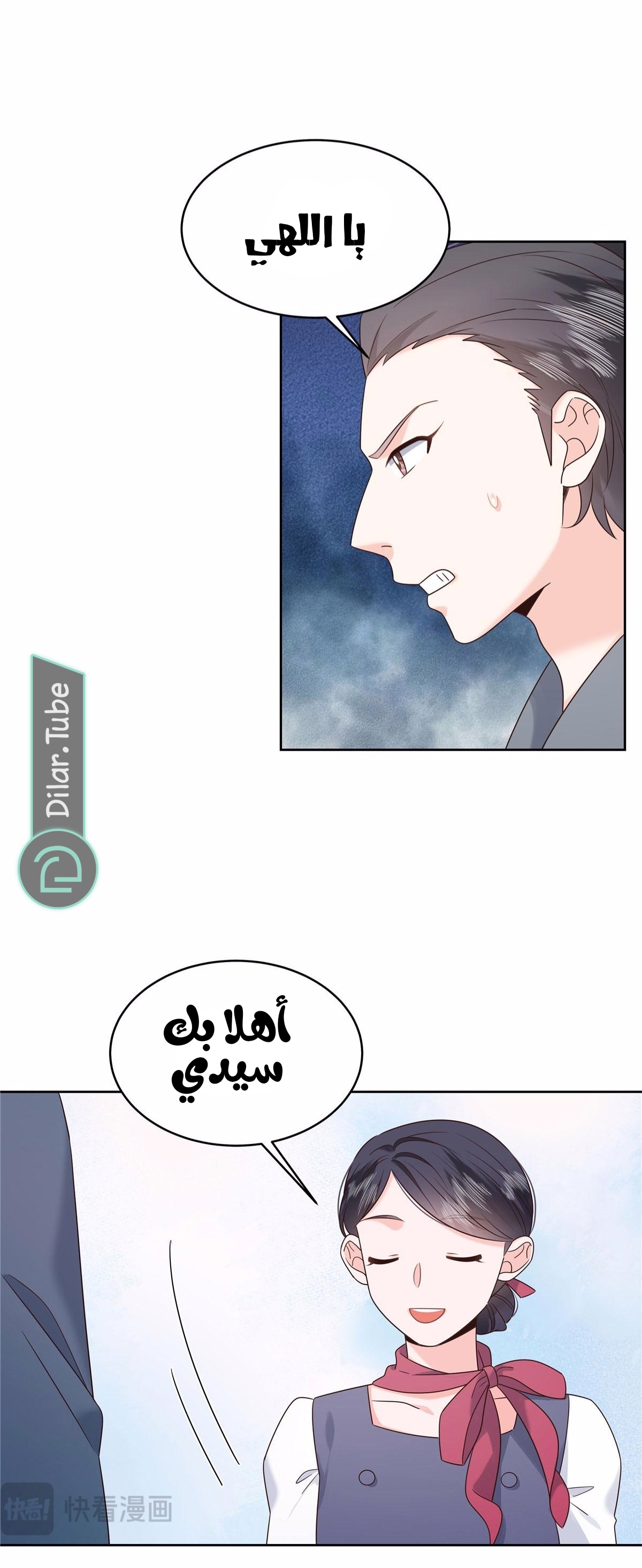 الصفحة 12