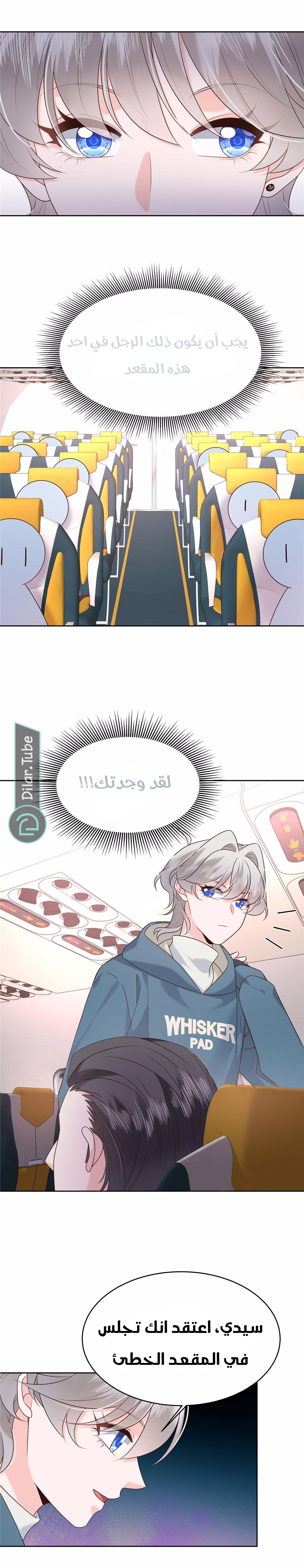 الصفحة 14