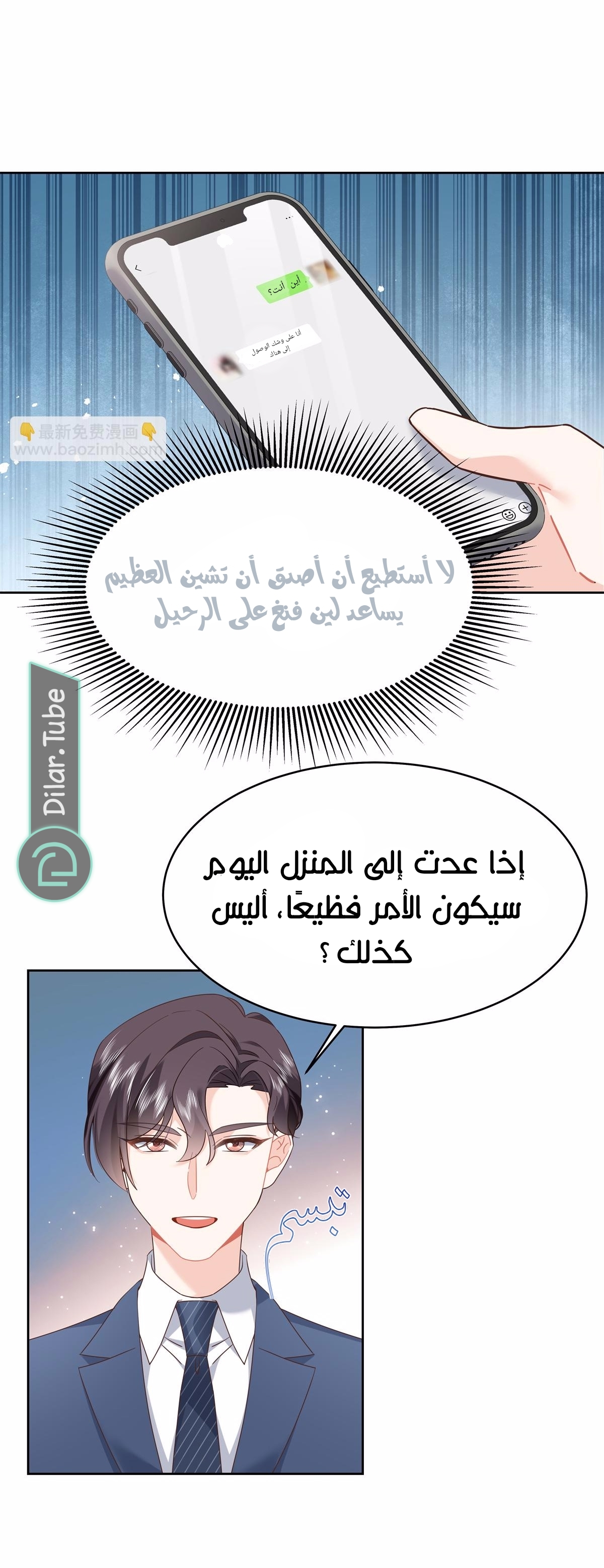 الصفحة 13