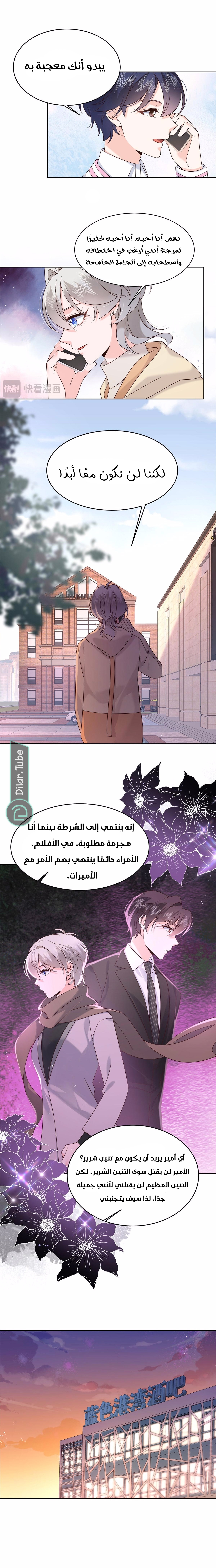 الصفحة 5