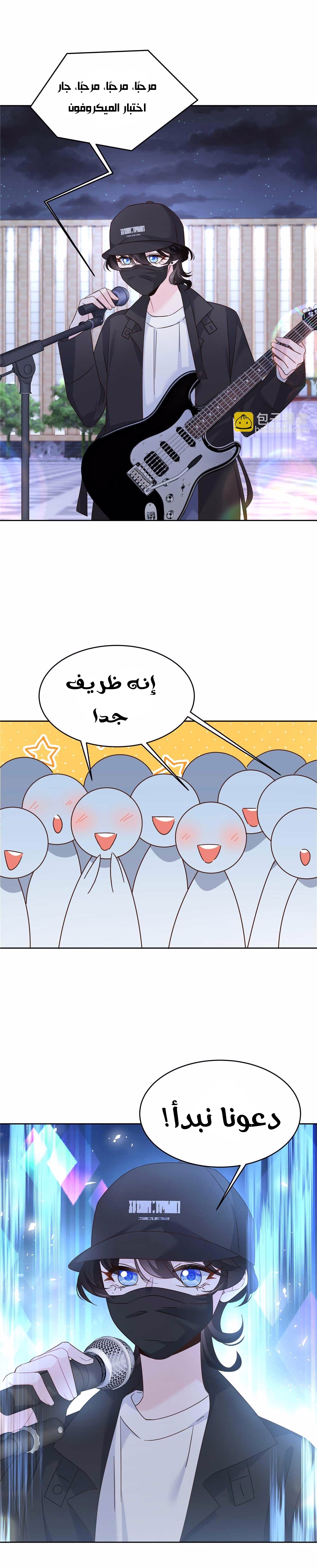 الصفحة 13