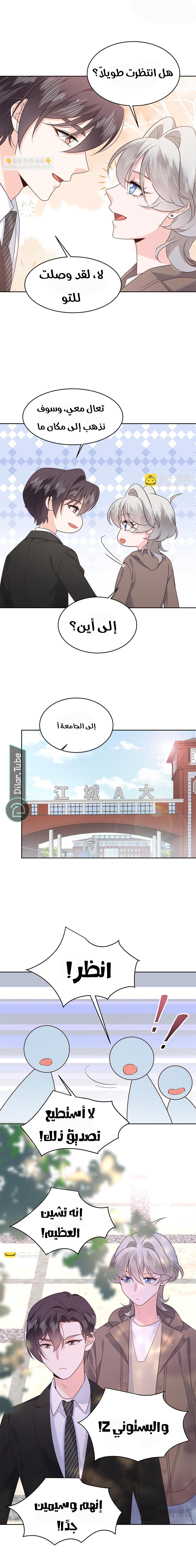 الصفحة 7