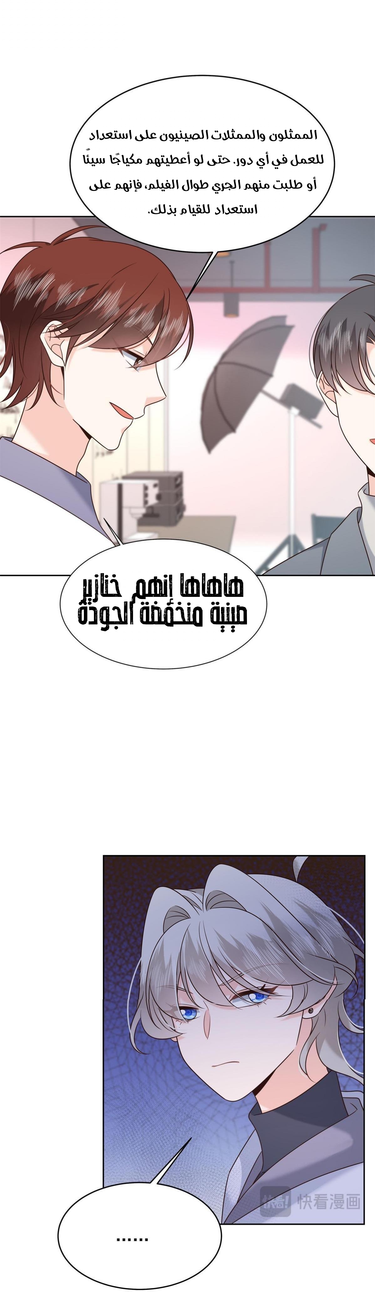 الصفحة 13