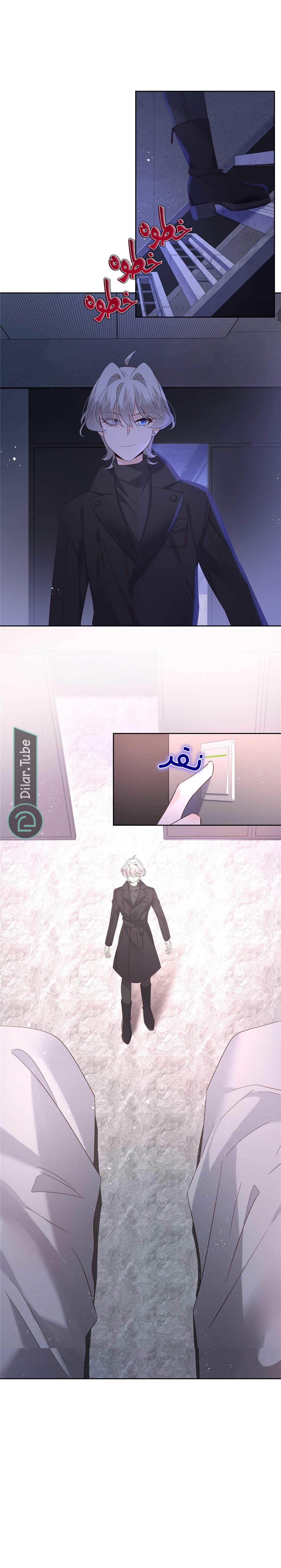 الصفحة 11