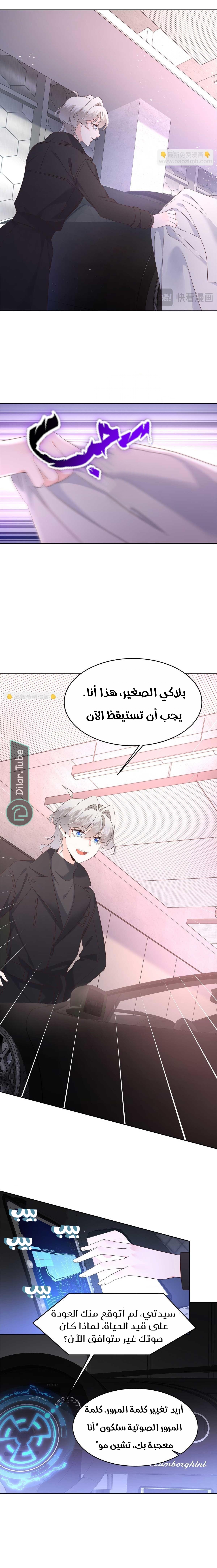 الصفحة 12