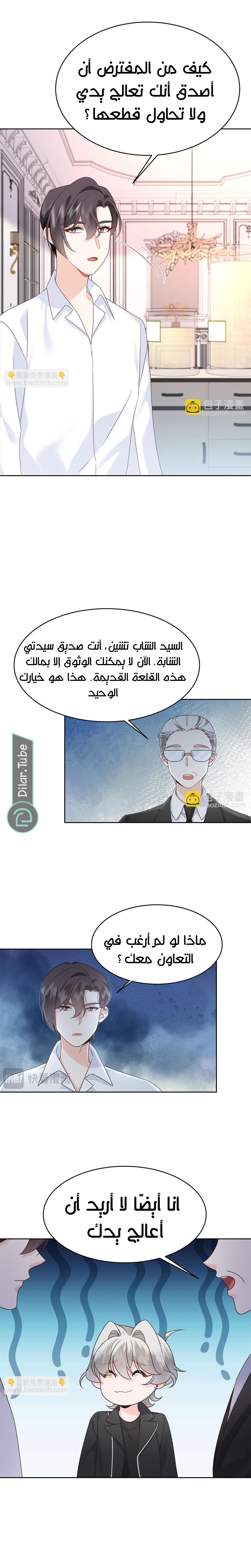 الصفحة 3