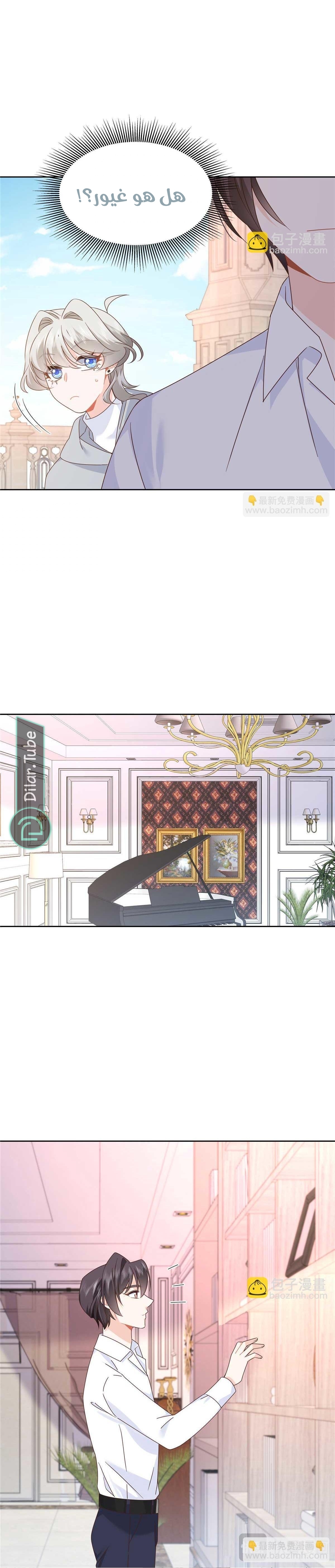 الصفحة 11