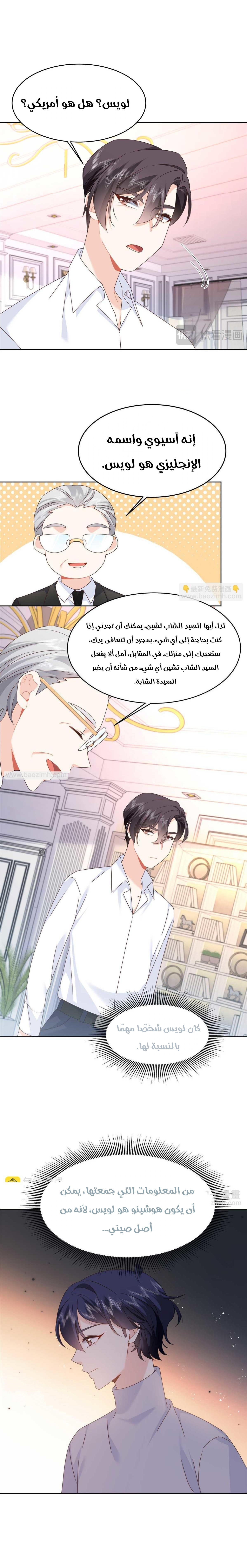 الصفحة 13