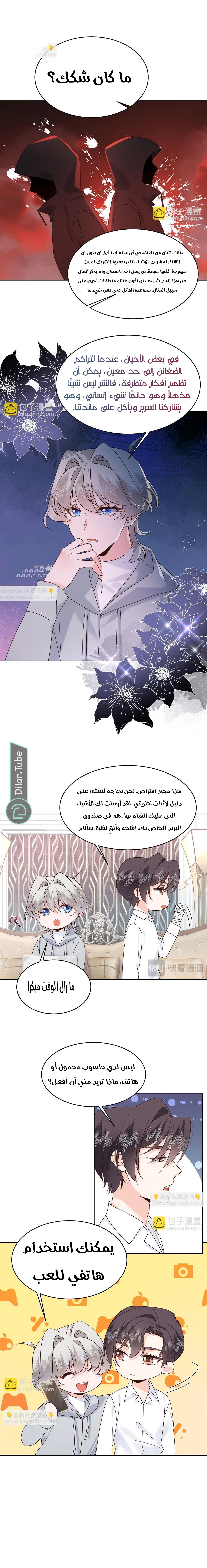 الصفحة 5