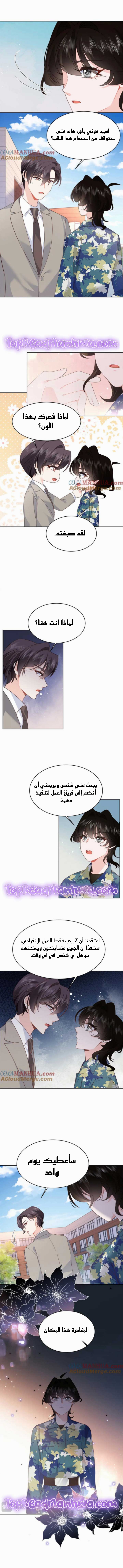 الصفحة 6