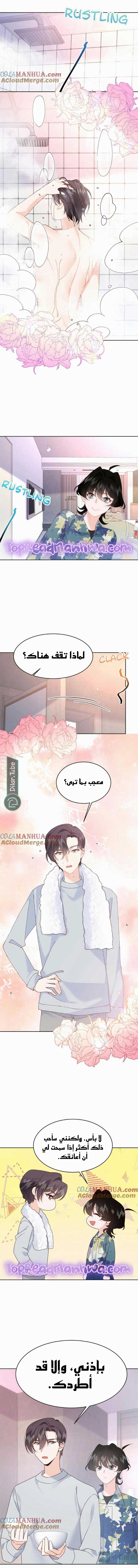 الصفحة 2