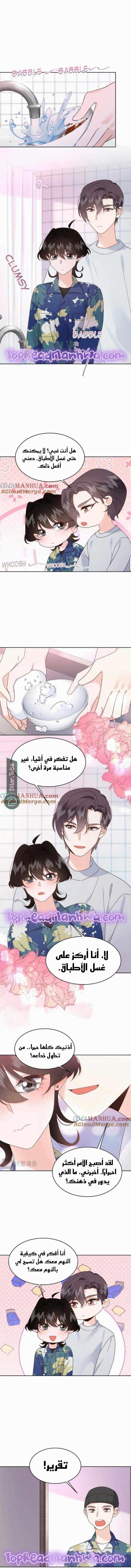 الصفحة 3