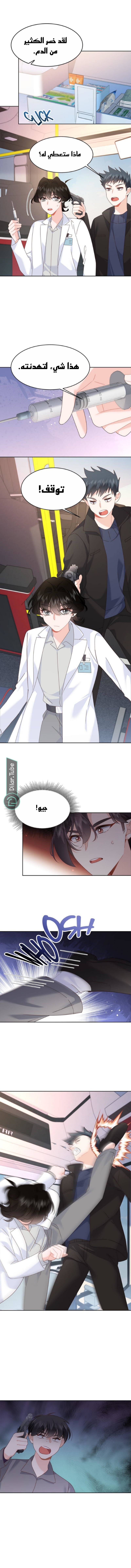 الصفحة 3