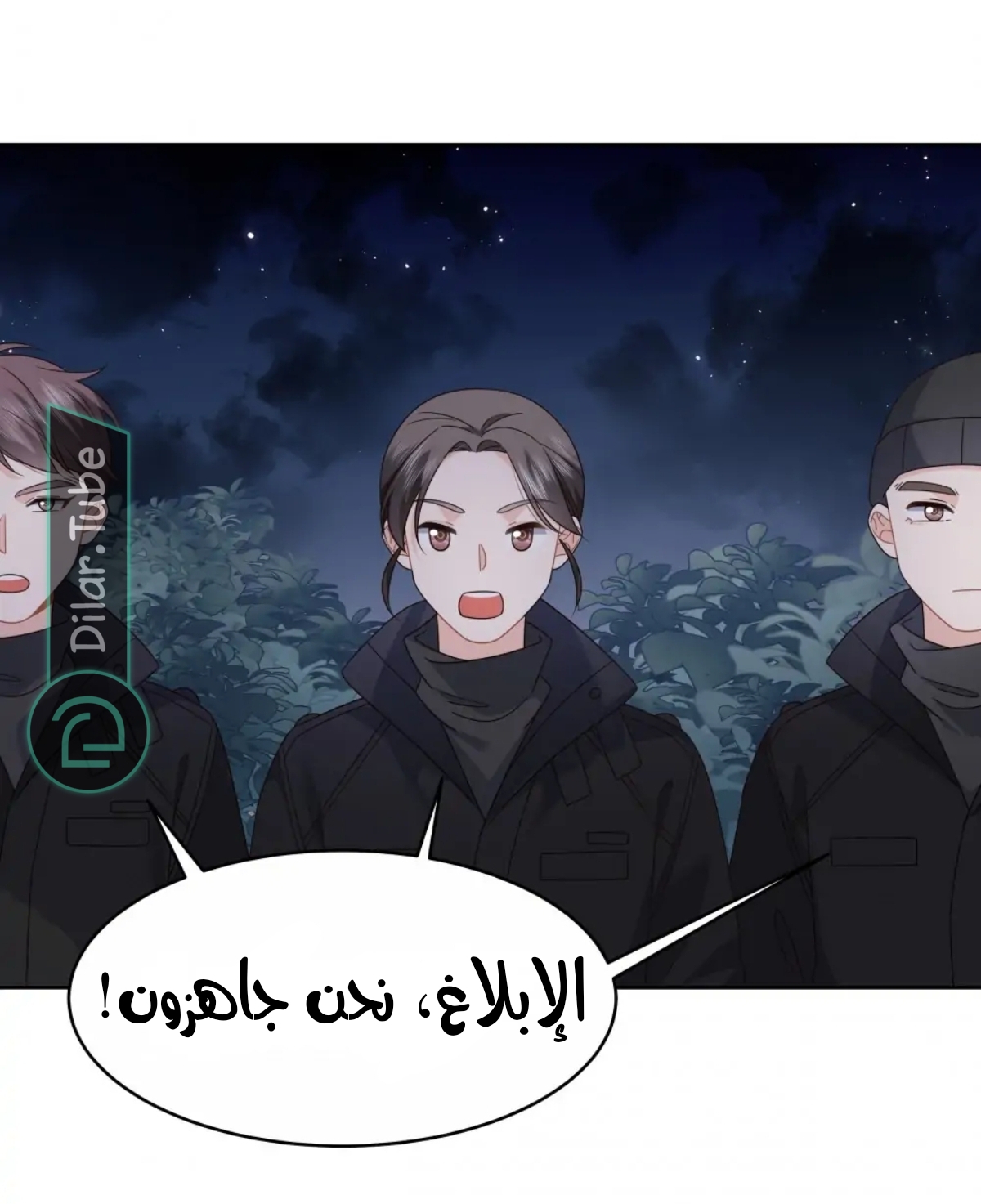 الصفحة 12