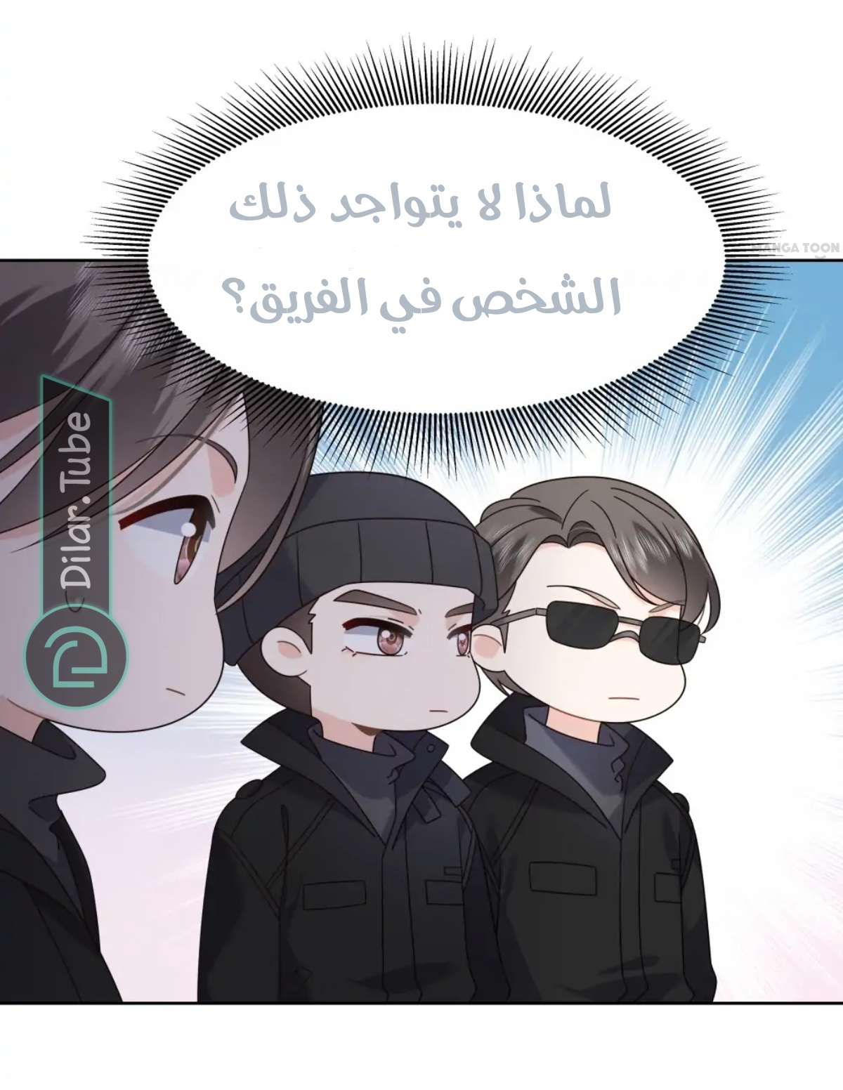 الصفحة 13