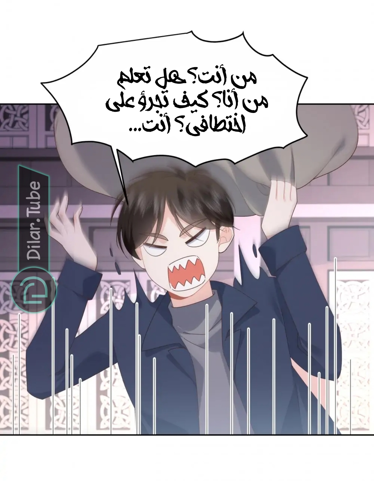 الصفحة 28